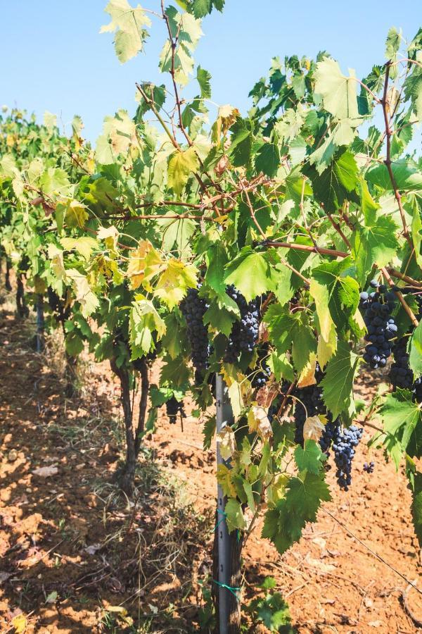 Case Vacanza Podere Risoino Poggibonsi Extérieur photo